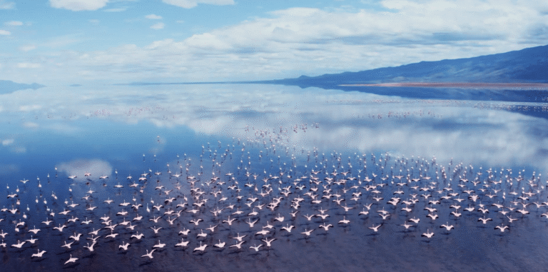 11 Dagen | Lake Hopping