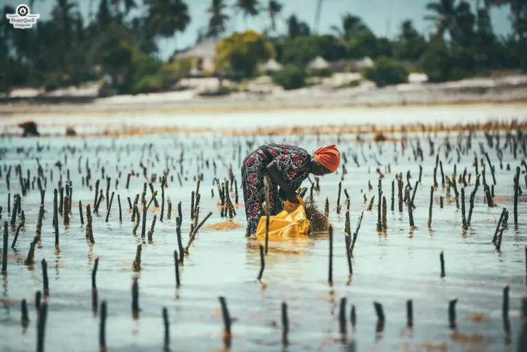 13 Days | Zanzibar & Selous Game Reserve