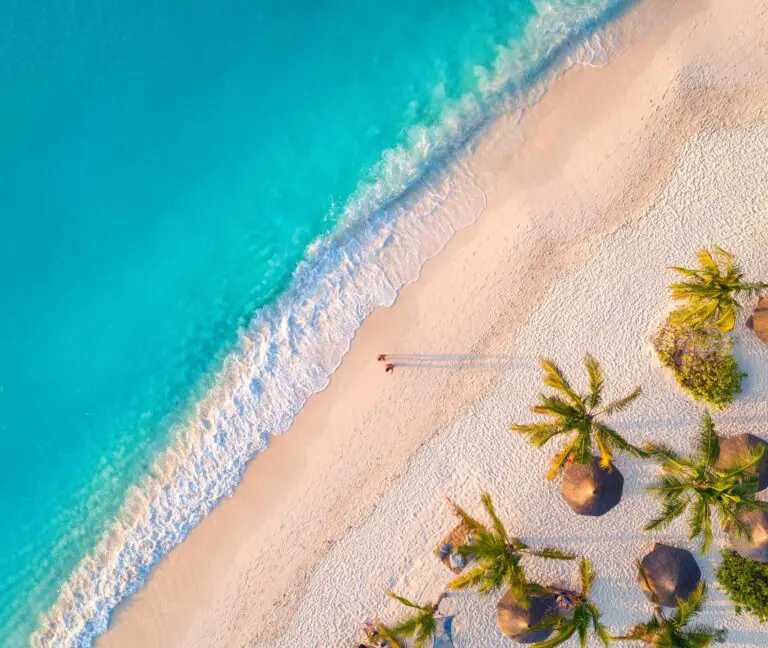 7 Days | Zanzibar & Selous Game Reserve