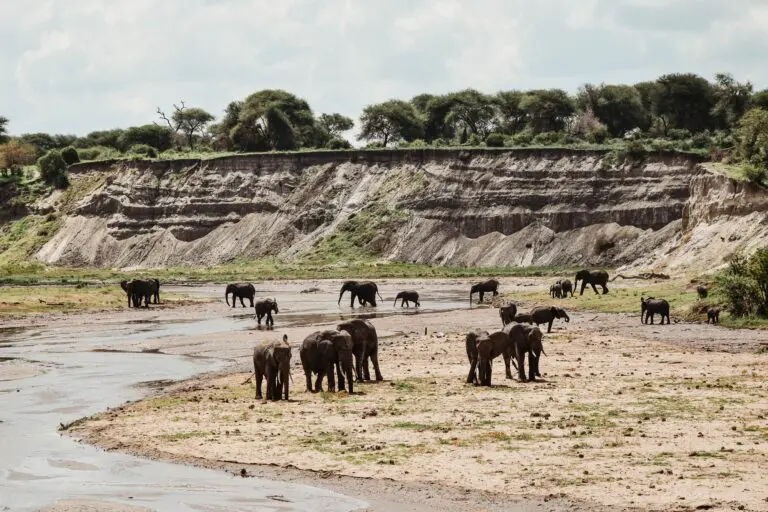 4 Dagen | Cultuur & Safari
