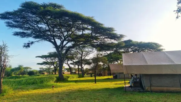 Africa Safari South Serengeti
