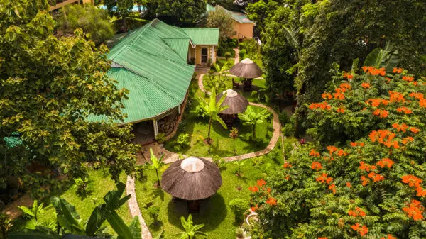 Africa Safari Arusha