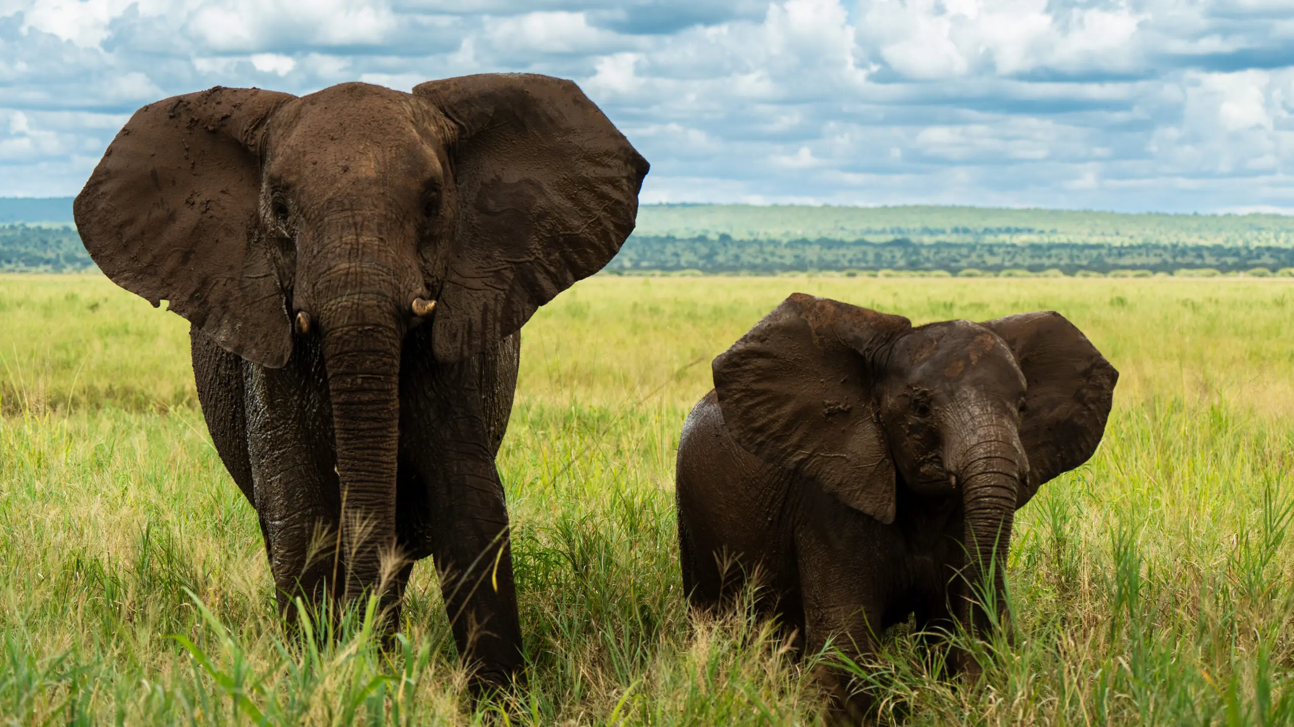 Tarangire-Nationalpark