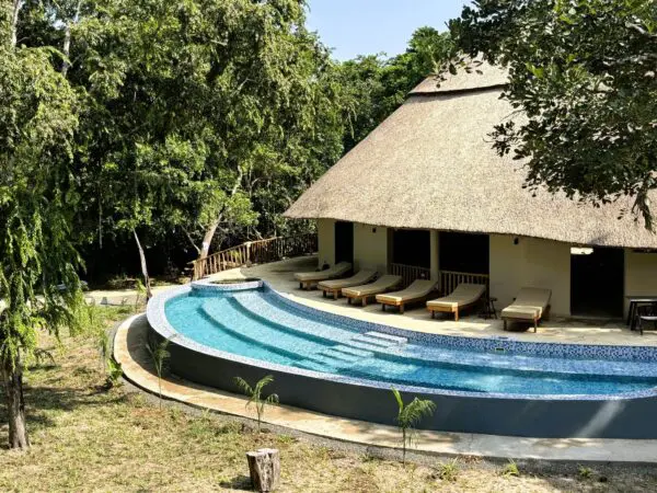África safari Nyerere