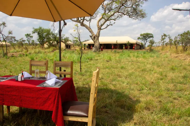 Africa Safari Serengeti Kogatende