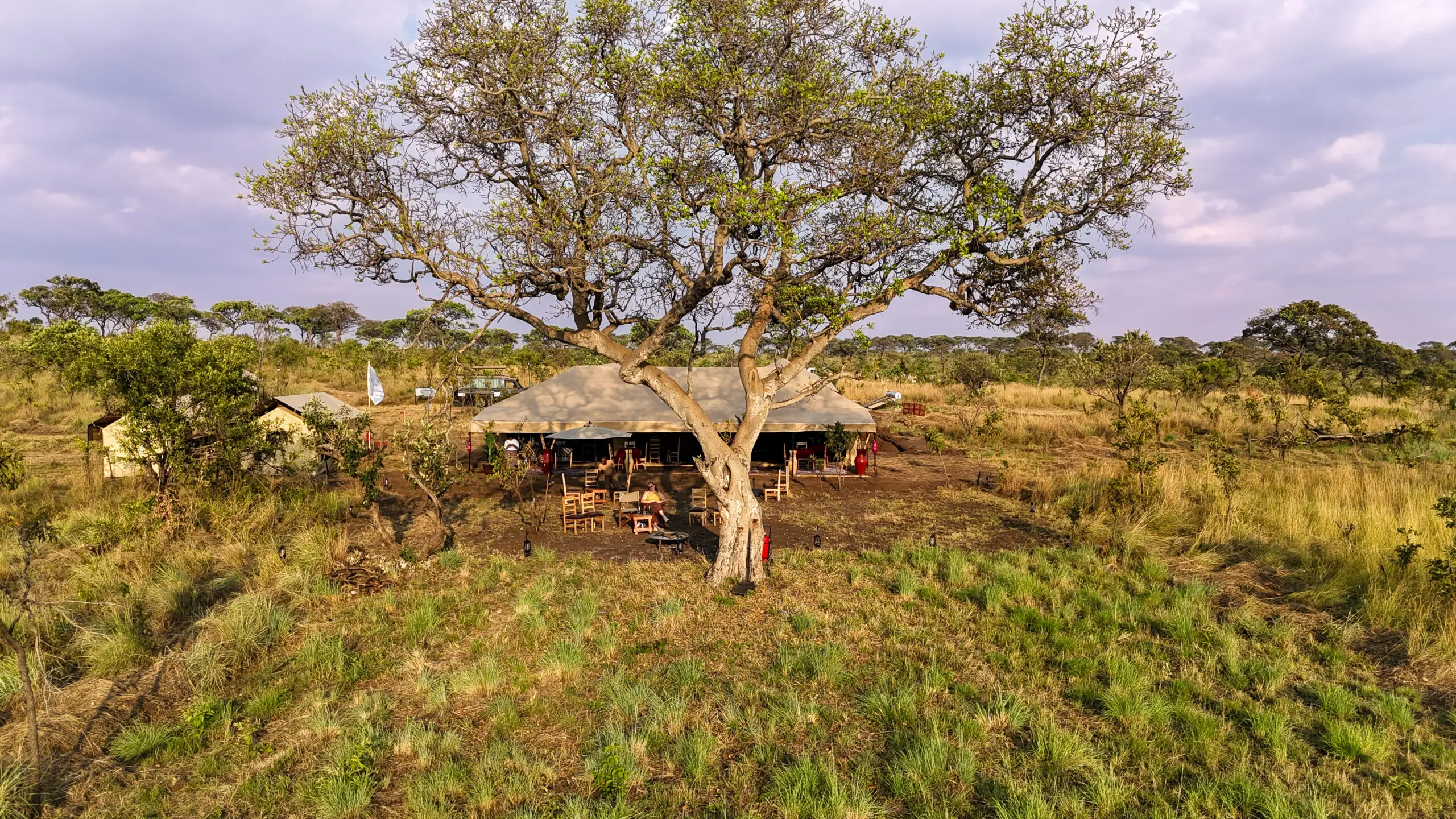 Africa Safari Serengeti Kogatende