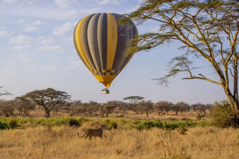 Ballonvaart Serengeti NP