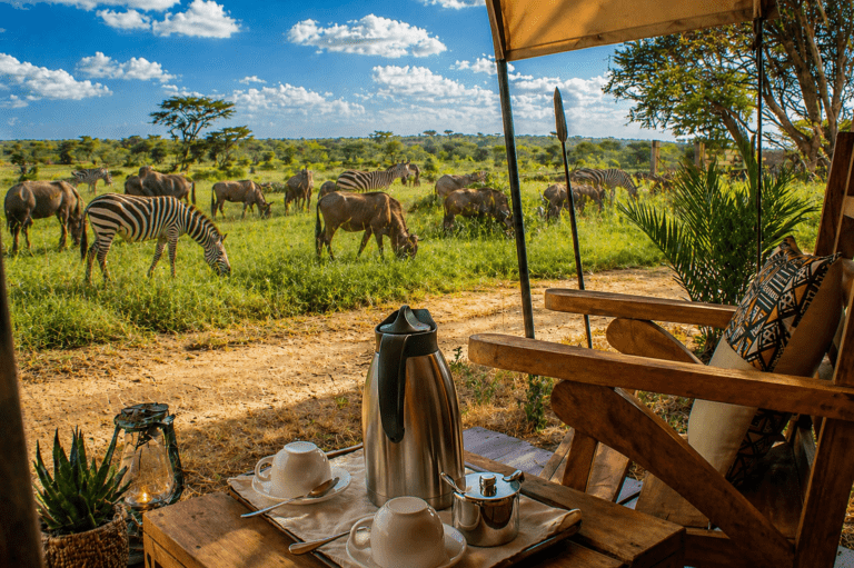 Africa Safari Serengeti Kogatende