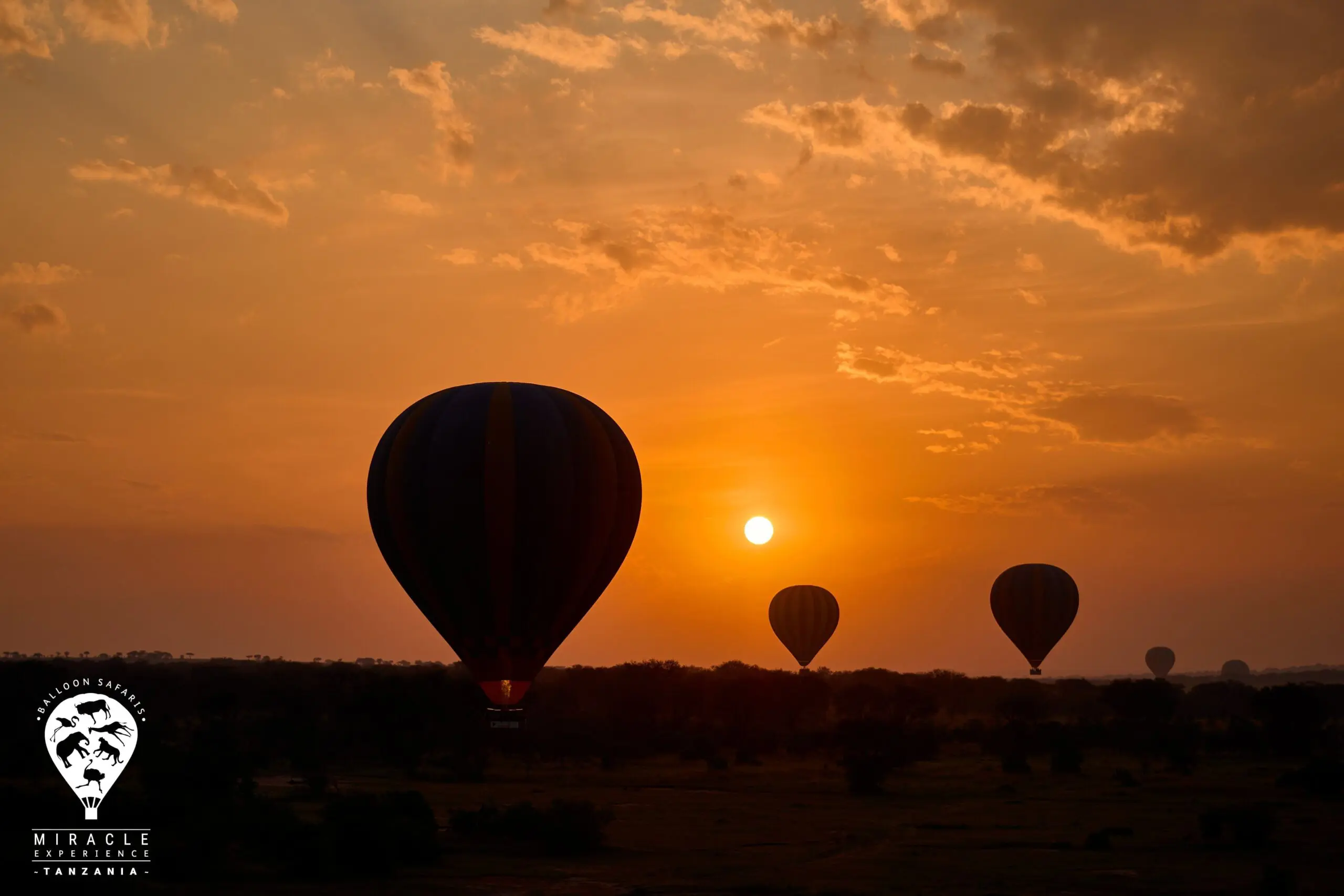 Ballonvaart | Lake Ndutu (Zuid Serengeti)