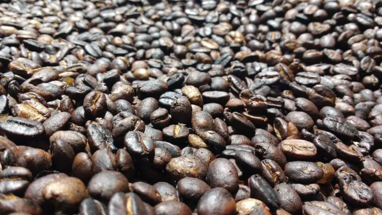 Karatu koffieplantage tour