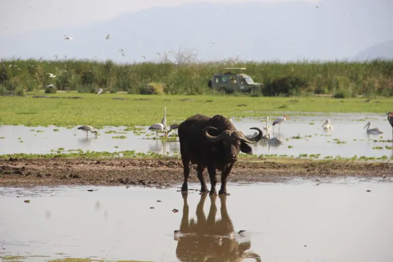 11 Dagen | Compleet Noordelijk Circuit