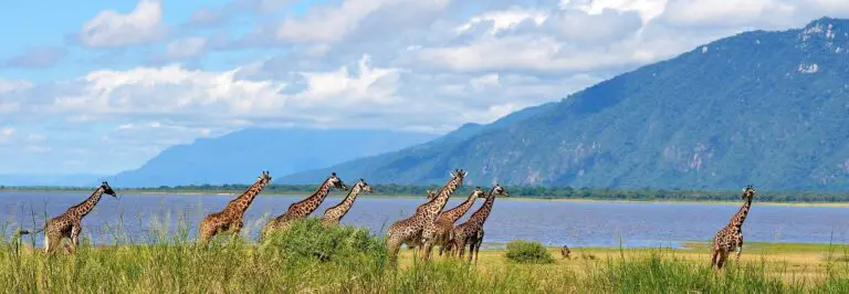 11 Dagen | Wildernis & Paradijs