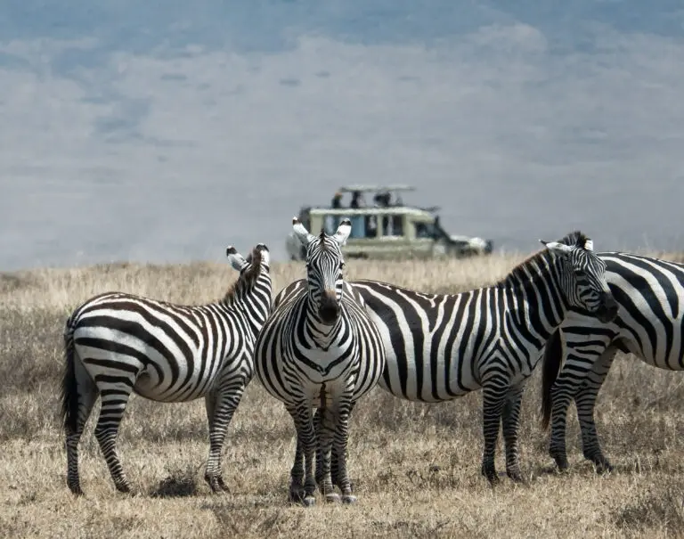 16 Days | The Ultimate Tanzania & Zanzibar Route