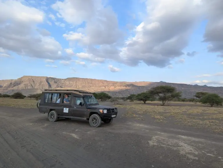 6 Days | Serengeti and more | Shared Safari