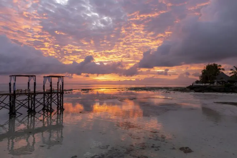 8 Dagen | Zanzibar & Serengeti NP