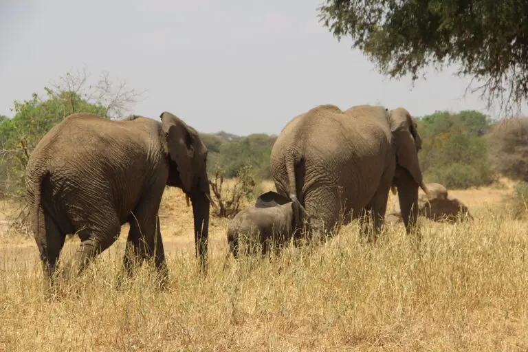 7 Dagen | Compleet Noordelijk Circuit