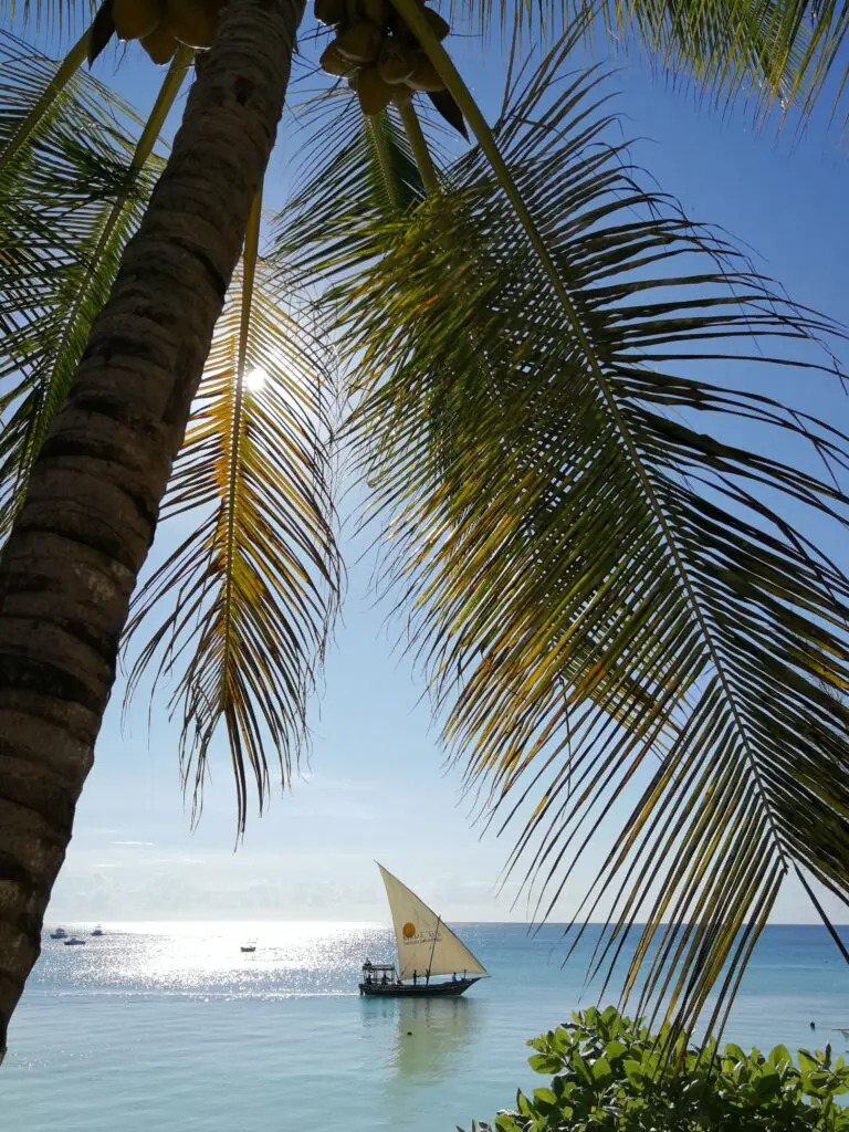 15 Dagen | Noord-Tanzania & Zanzibar