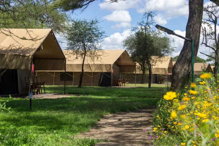 Africa Safari Ngorongoro Ndutu