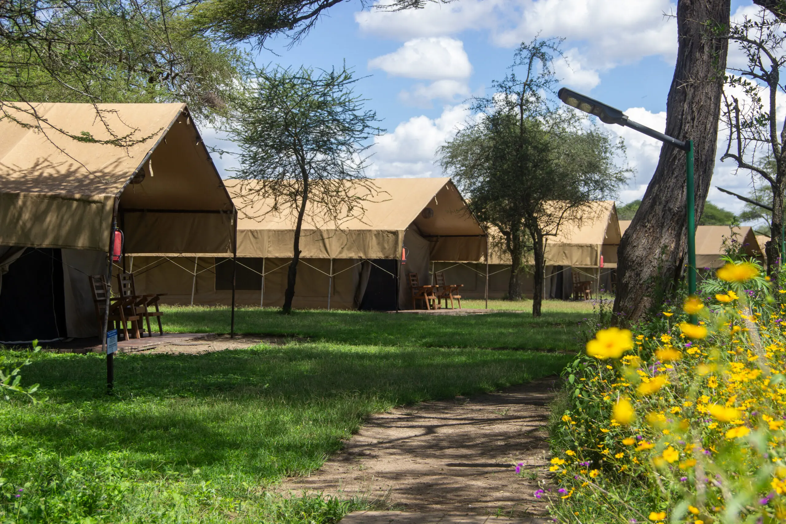Africa Safari Ngorongoro Ndutu