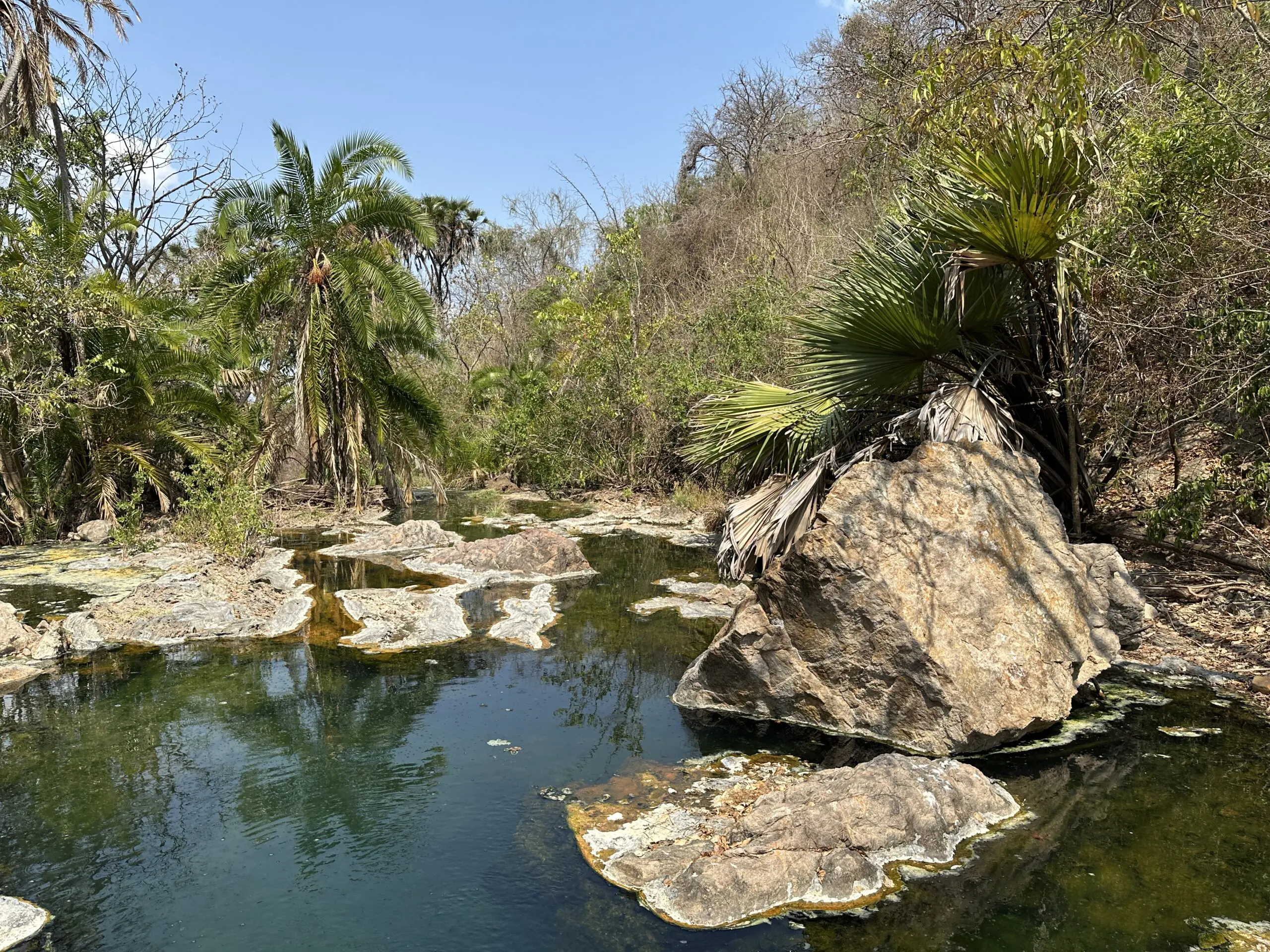 Visit to Hot Springs en Nyerere National Park