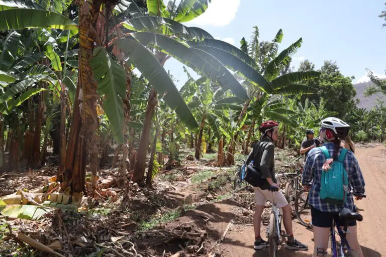 Mountainbike tour in Mto wa Mbu Village & downhill Rift Valley