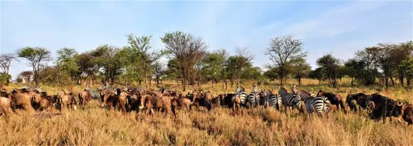 Ikona Wildlife Management Area