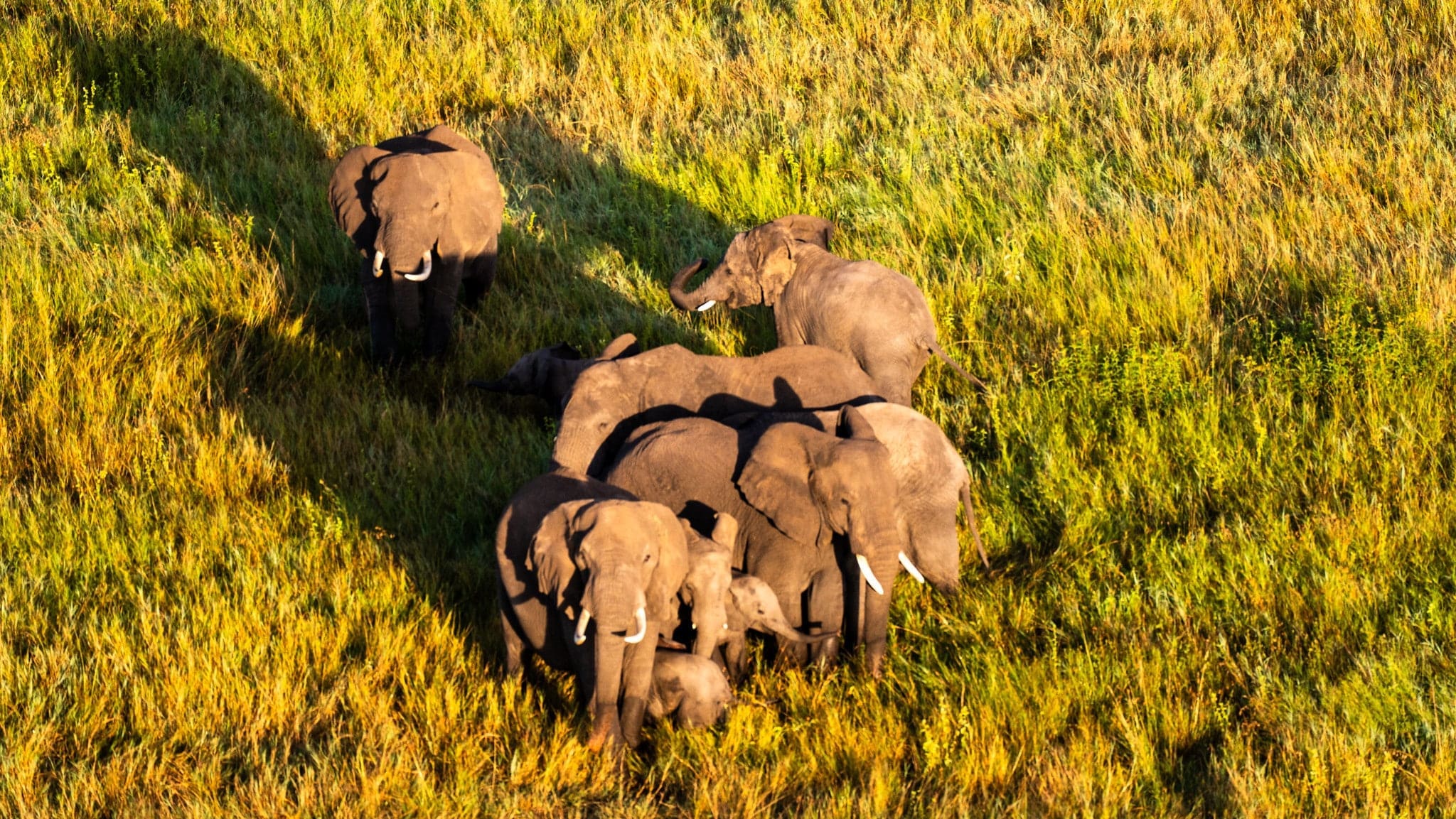 Private safari Tanzania - Paradise & Wilderness - Wilderness Paradise Luxury Apartments With A Private Lake View