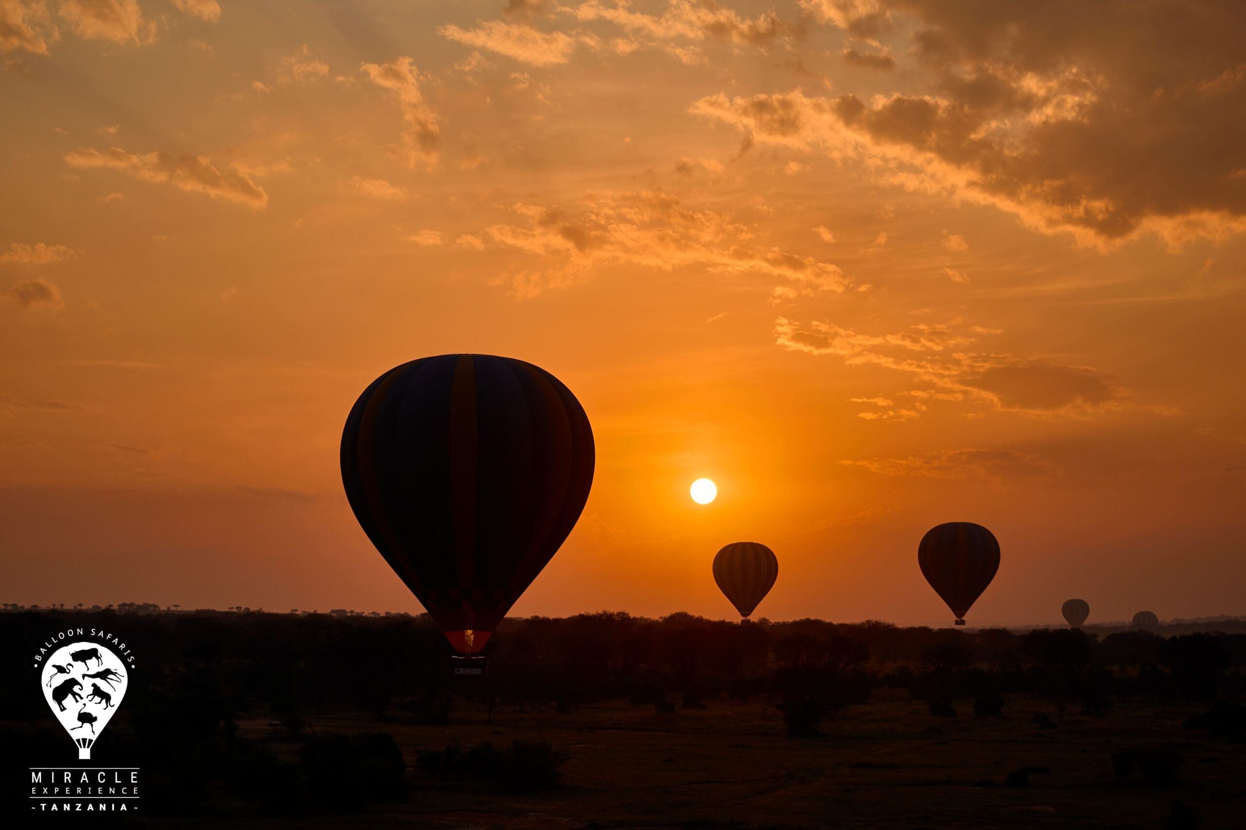 Ballonvaart | Lake Ndutu (Zuid Serengeti)