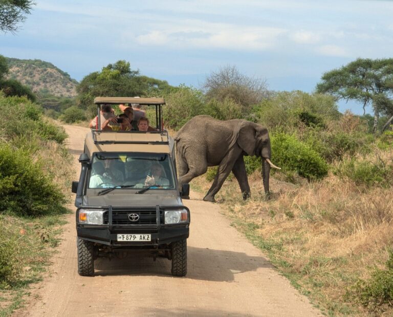 13 Dagen | Groepsreis | 20 feb 2026 | Noord-Tanzania & Zanzibar