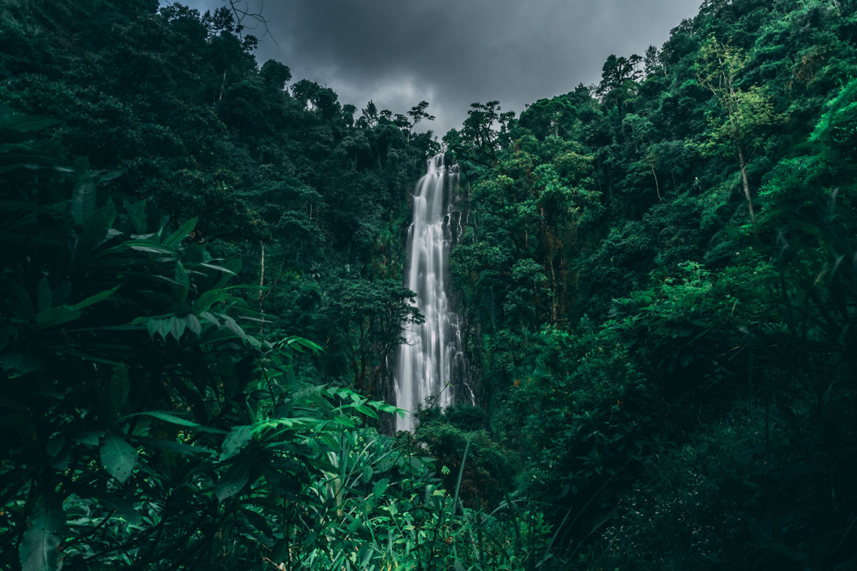 Tanzania Arusha Materuni Waterfall
