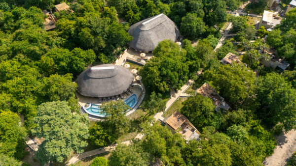 Africa Safari Nyerere