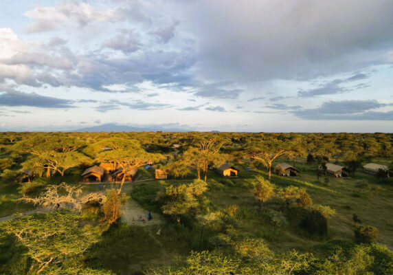 Africa Safari Serengeti Kusini