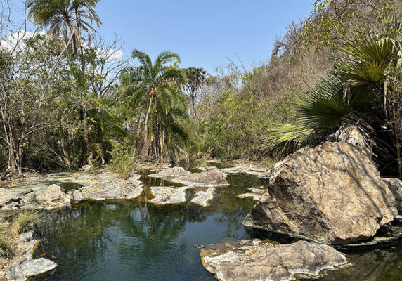 Africa-Safari-Tagalala-Hot-Spring