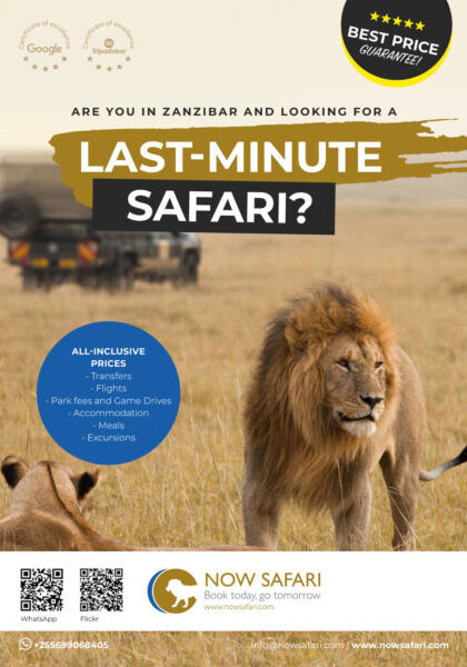 brochure-now-safari-cover