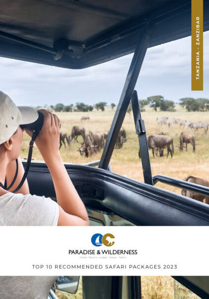 top-10-recommended-safari-pacakges