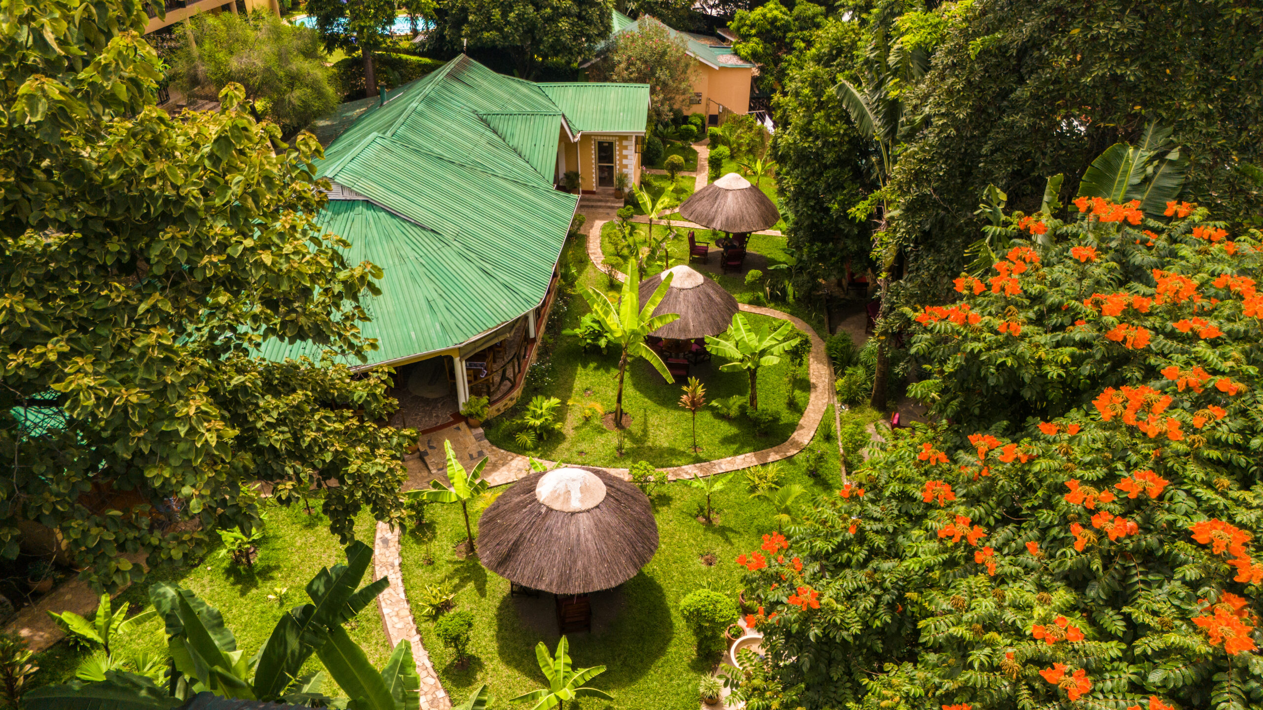 Africa Safari Arusha