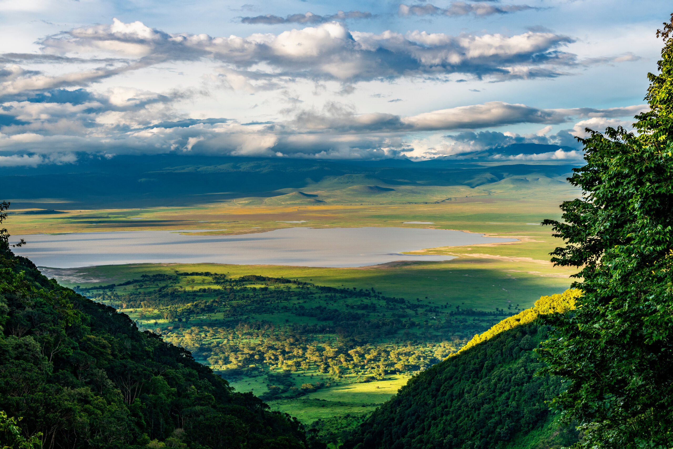 Ngorongoro Crater Rim Walk